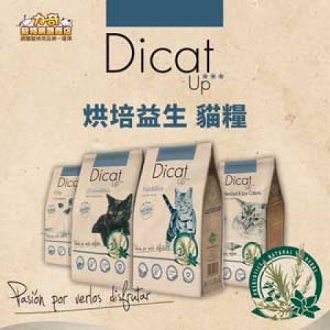 力奇寵物 Reki Pet | 折扣超優省錢不錯過
